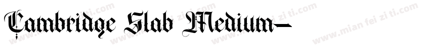 Cambridge Slab Medium字体转换